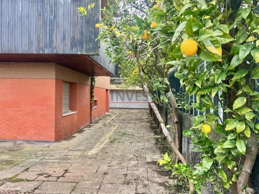 豪宅  波圖, Porto