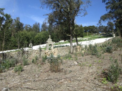 Αγροτεμάχιο σε Βίλα ντο Κόντε, Vila do Conde