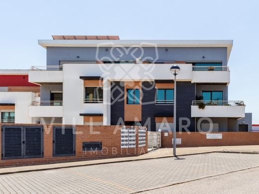 Apartment in Torres Vedras, Lisbon