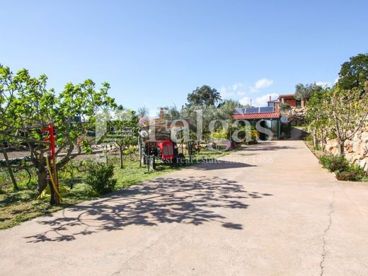 منزل ﻓﻲ Masarac, Província de Girona