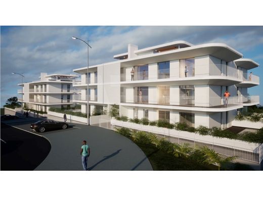 토지 / Mafra, Distrito de Lisboa