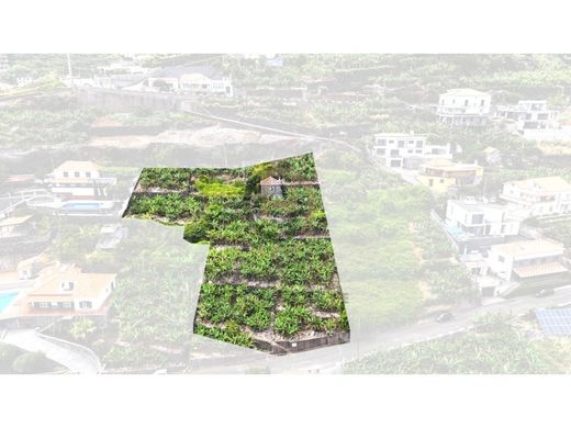 Land in Calheta, Madeira