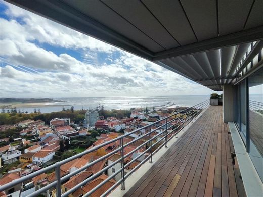 Daire Porto, Distrito do Porto