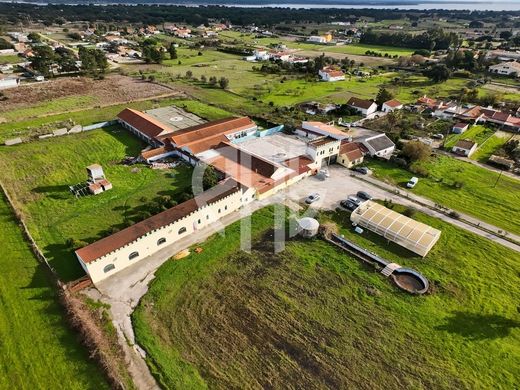 Luxury home in Palmela, Distrito de Setúbal