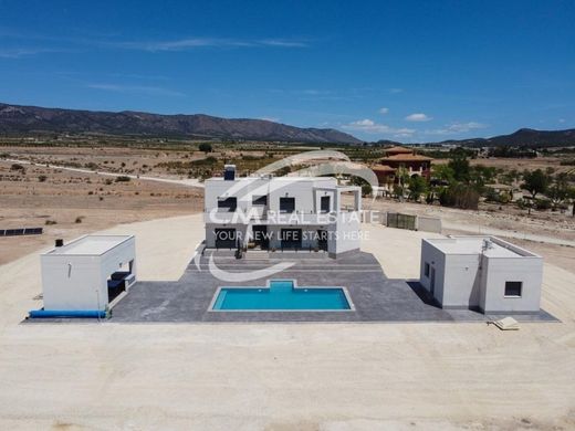Villa in Pinoso, Alicante