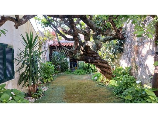 Luksusowy dom w Porto, Distrito do Porto