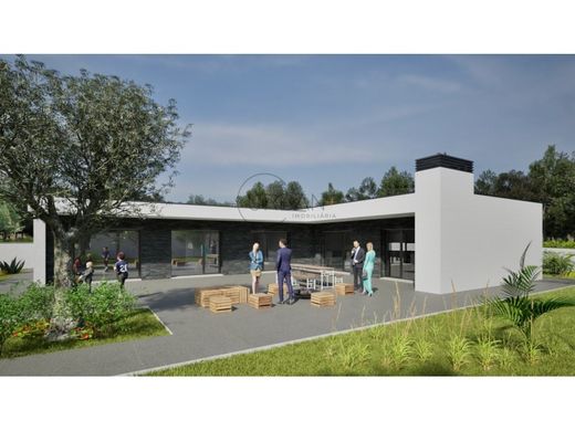 Casa de luxo - Viseu