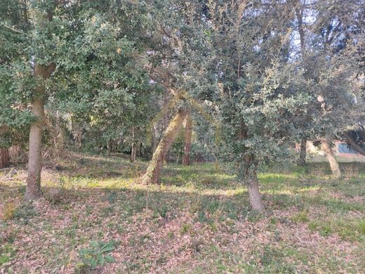Land in Sant Pere de Vilamajor, Province of Barcelona