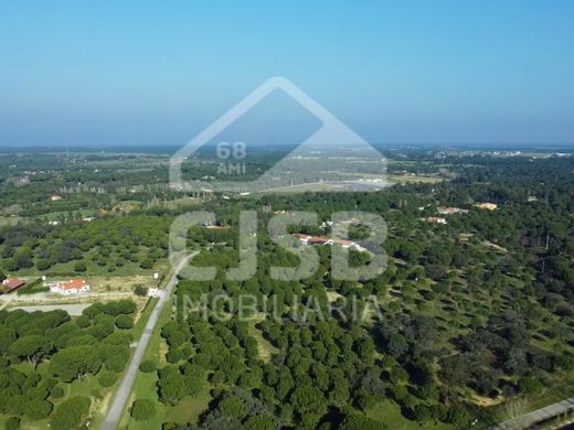 Grond in Benavente, Distrito de Santarém