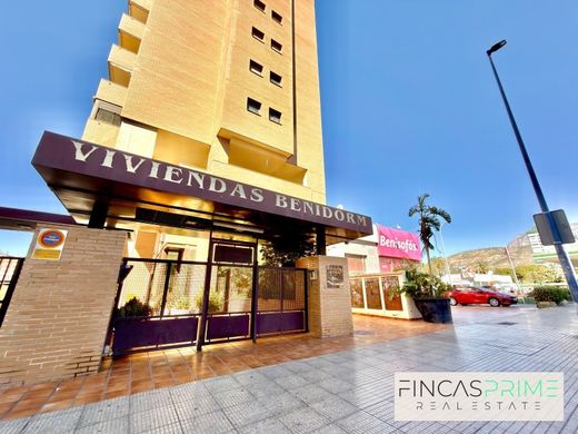Apartment in Benidorm, Alicante