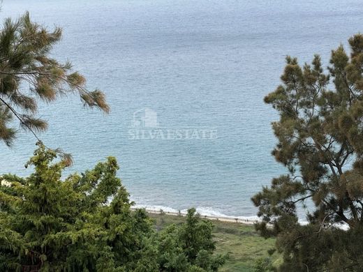 토지 / Funchal, Madeira