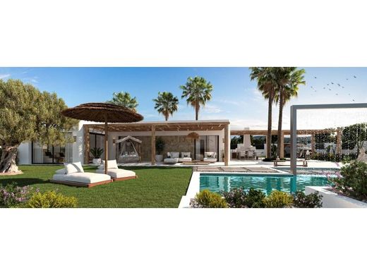 호화 저택 / Pedreguer, Provincia de Alicante