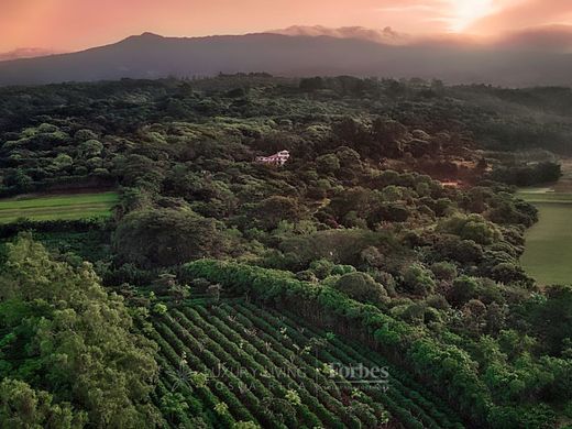 Albergo a Santa Bárbaraa, Provincia de Heredia