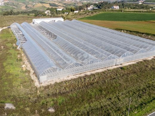 ‏קרקע ב  Mafra, Distrito de Lisboa