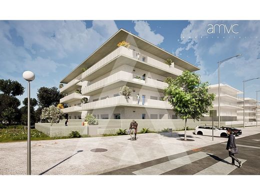 Apartamento - Viseu