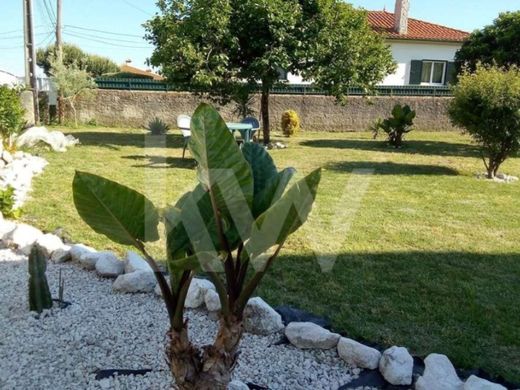 호화 저택 / Aveiro, Distrito de Aveiro