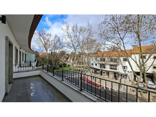 Daire Cascais, Distrito de Lisboa