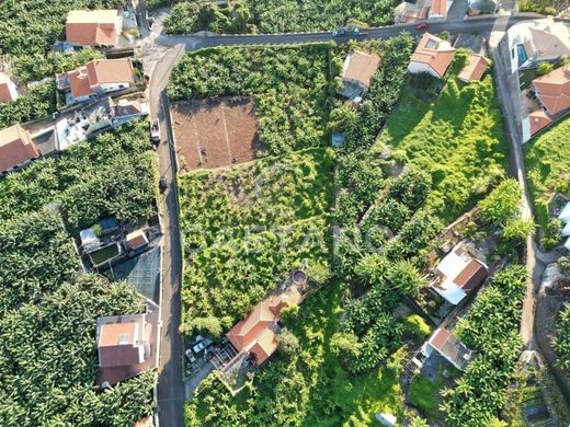 토지 / Calheta, Madeira