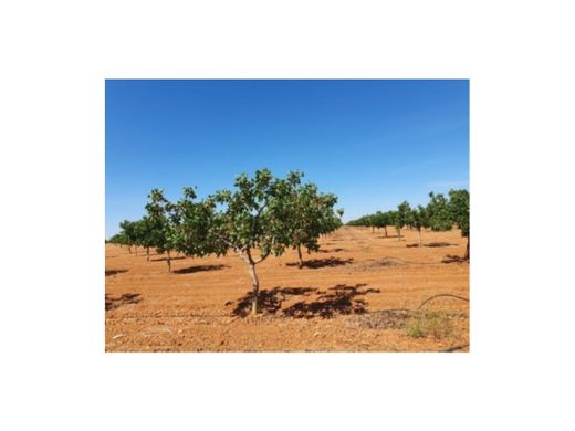 Luxury home in Toledo, Province of Toledo