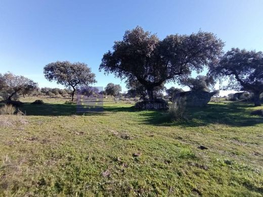 Landhaus / Bauernhof in Trujillo, Cáceres