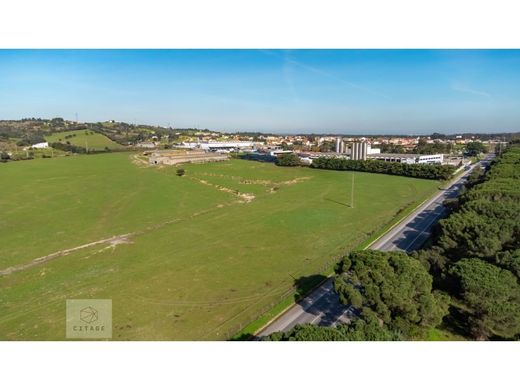 Land in Azambuja, Lisbon