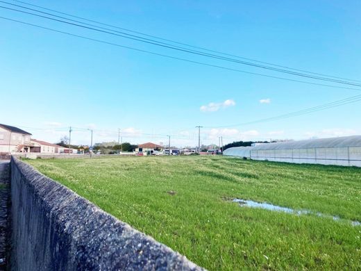 地皮  出售 Póvoa de Varzim