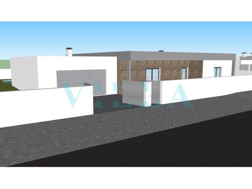 호화 저택 / Salvaterra de Magos, Distrito de Santarém