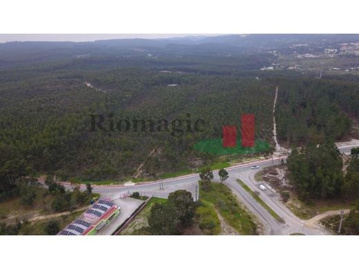 Teren w Rio Maior, Distrito de Santarém