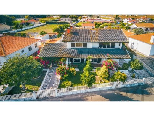 Luxury home in Murtosa, Aveiro