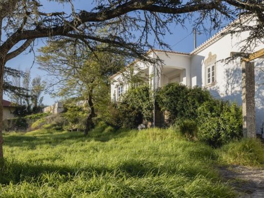 Cascais e Estoril, Cascaisの農園