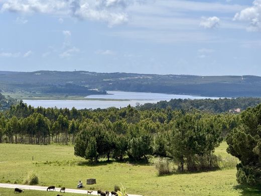 Caldas da Rainha, Distrito de Leiriaの高級住宅