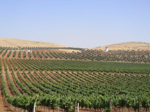 빌라 / Granada, Provincia de Granada