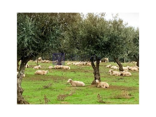 Boerderij in Trujillo, Provincia de Cáceres