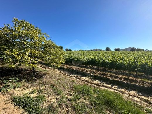 Land in Setúbal, Distrito de Setúbal