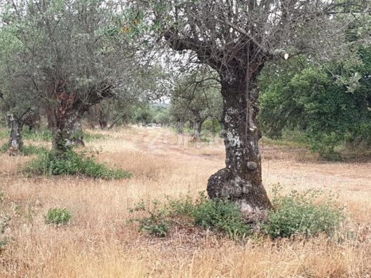 Land in Borba, Distrito de Évora