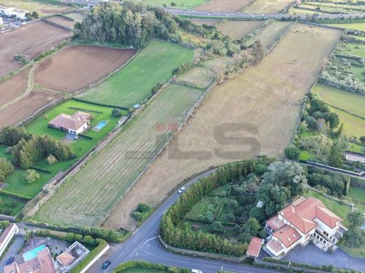 Land in Ponta Delgada, Azores