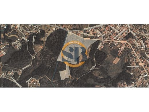 Teren w Oliveira de Azeméis, Distrito de Aveiro