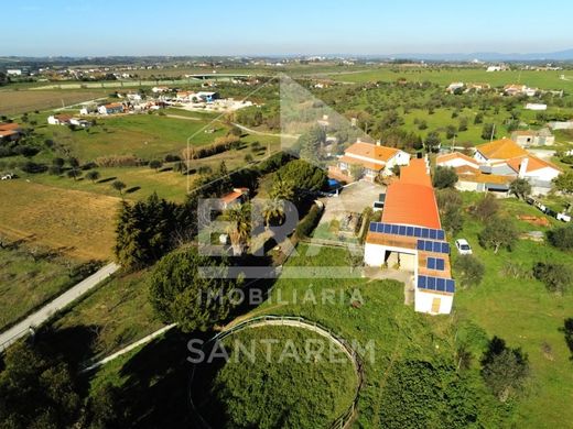 Casa de lujo en Santarém