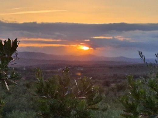Land in Borba, Distrito de Évora