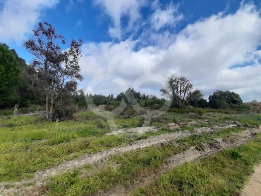 Arsa Montijo, Distrito de Setúbal