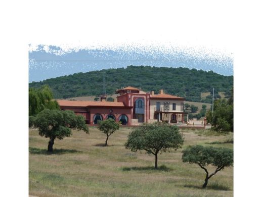 호화 저택 / Puertollano, Provincia de Ciudad Real