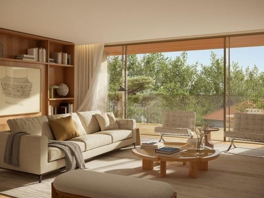 Daire Porto, Distrito do Porto