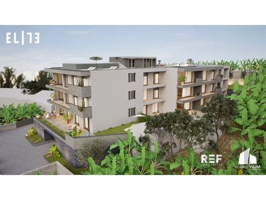 Apartment in Câmara de Lobos, Madeira