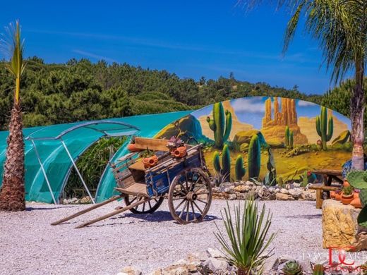 Участок, Сесимбра, Sesimbra