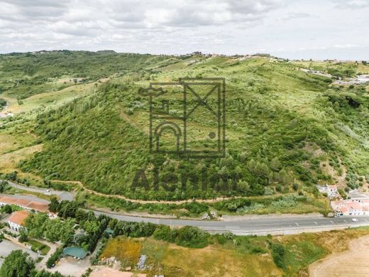 Land in Alenquer, Lisbon