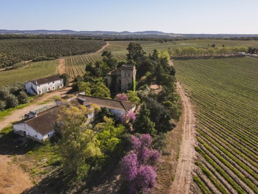 Luxury home in Souzel, Sousel