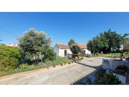 Luksusowy dom w Cartaxo, Distrito de Santarém