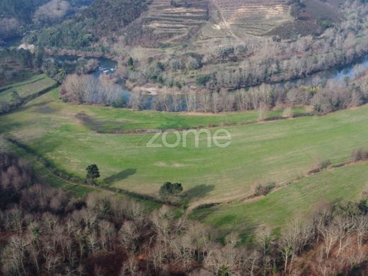 أرض ﻓﻲ Mondim de Basto, Distrito de Vila Real