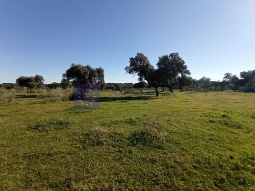 Boerderij in Plasencia, Provincia de Cáceres