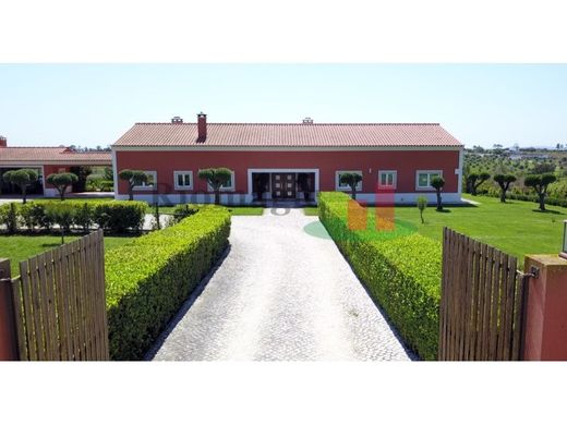 Luxus-Haus in Rio Maior, Distrito de Santarém